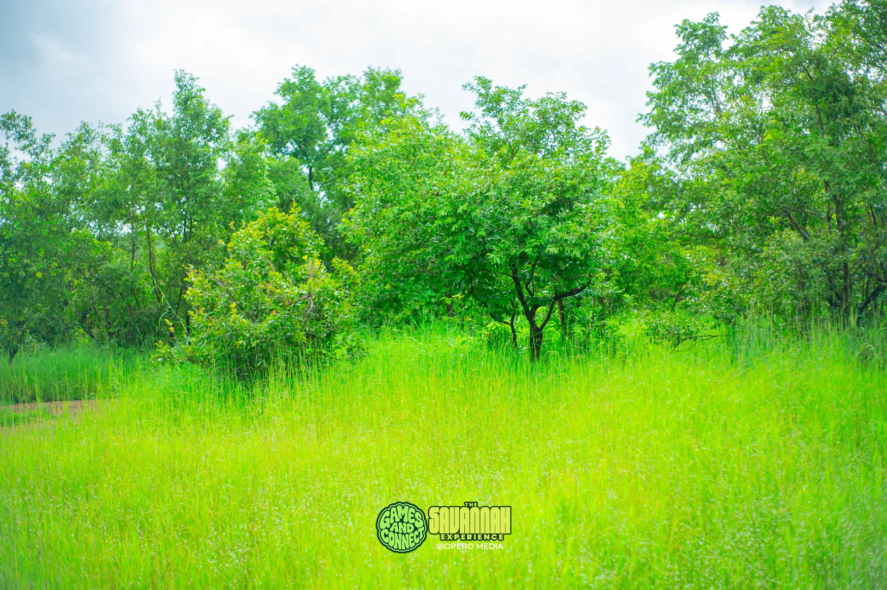 The Savannah Experience · Photo 24