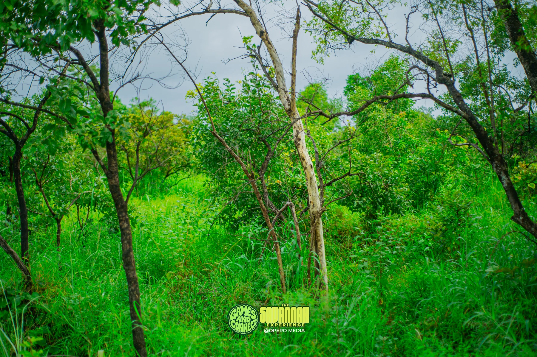 The Savannah Experience · Photo 25